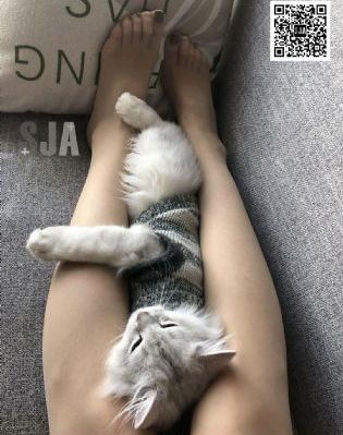 饕餮电视剧_剧情片高清电影在线