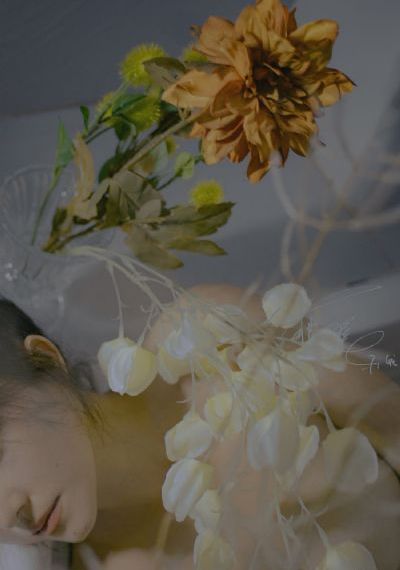 佐贺偶像是传奇_BD韩语全集免费观看
