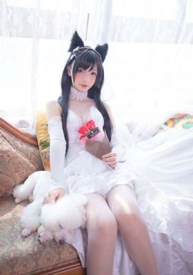 明星大侦探9季免费观看最新一期_1080在线视频观看